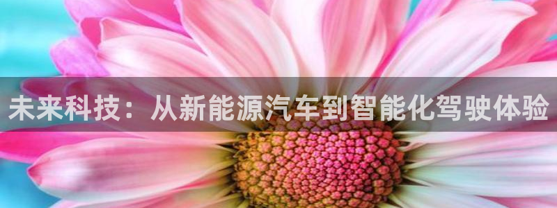 泉州摩根娱乐会所怎么样