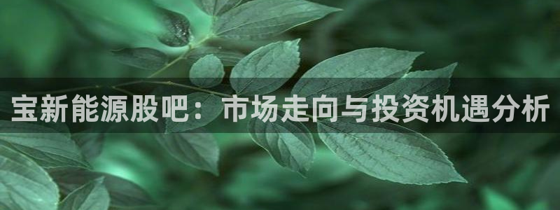 摩根娱乐宝使用操作