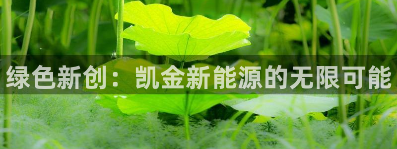 摩根娱乐宝被骗怎么办