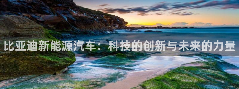摩根大通旗下娱乐公司
