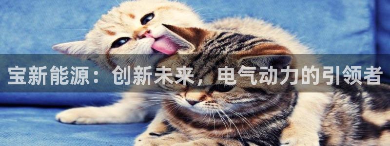 武汉摩根众睿娱乐