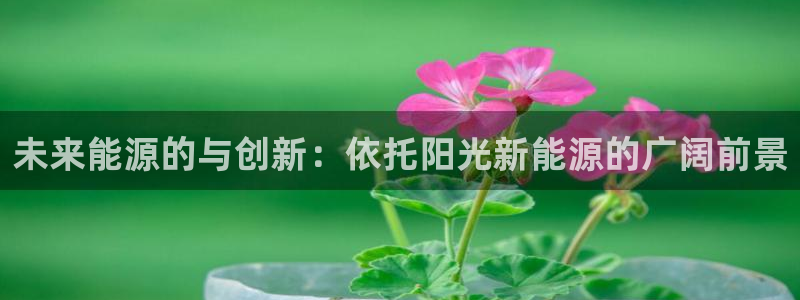 摩根娱乐首页