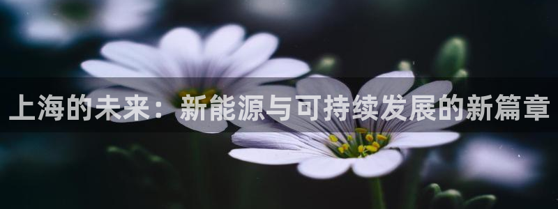 义乌摩根娱乐会所怎么样