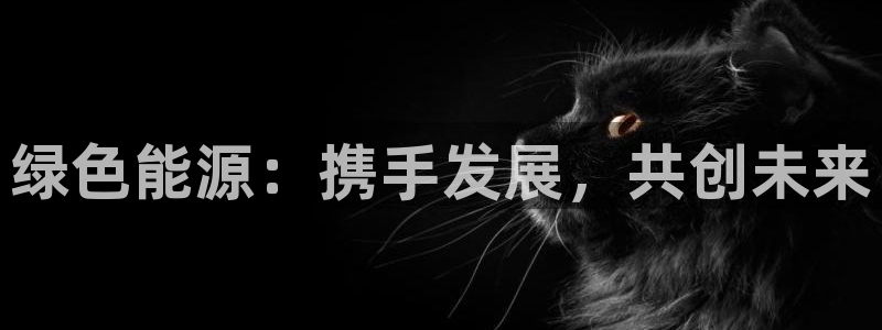 重生娱乐美日混血摩根