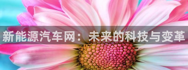 摩根娱乐宝机构代码