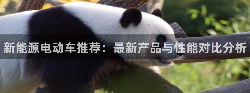 摩根娱乐公司