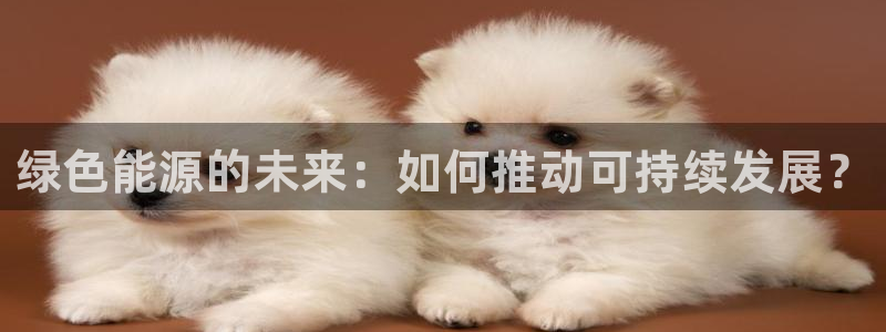 华视娱乐 摩根 王琛：绿色能源的未来：如