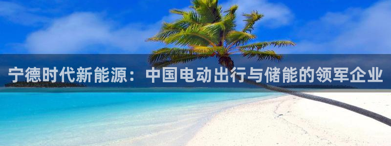 摩根娱乐宝机怎么玩：宁德时代新能源：中国