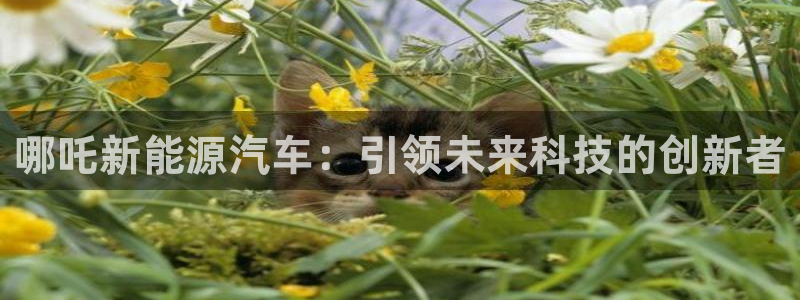 摩根娱乐 1老j板50820