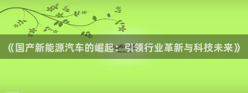 柬埔寨西港摩根娱乐