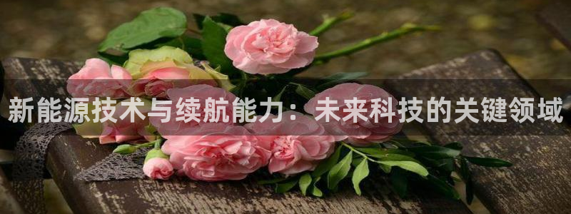 摩根国际娱乐宝官网