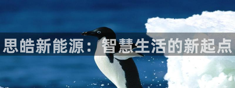 摩根娱乐宝怎么下载：思皓新能源：智慧生活