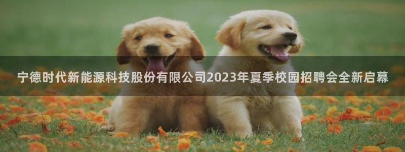 摩根国际娱乐宝在哪里：宁德时代新能源科技