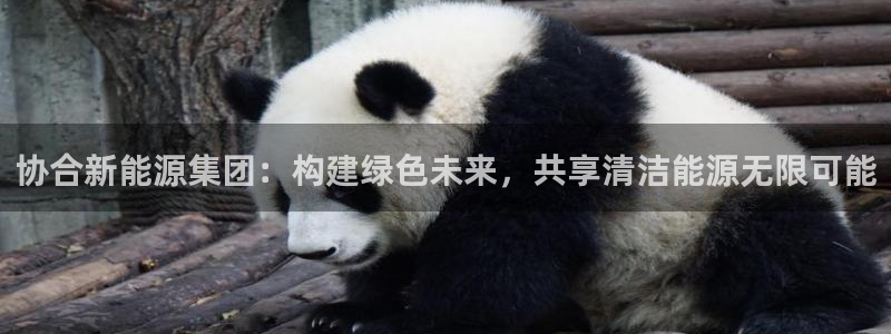 摩根娱乐宝官网百度:协合新能源集团:构建绿色未来,共享清洁能