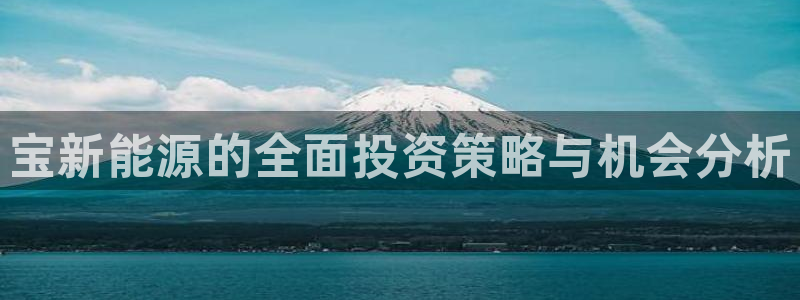 临平摩根娱乐会所:宝新能源的全面投资策略与机会分析