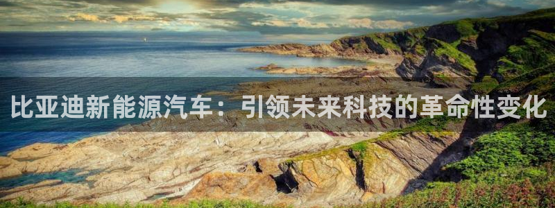 摩根娱乐50186选择:比亚迪新能源汽车:引领未来科技的革命