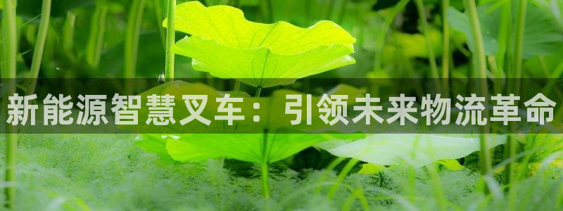 摩根娱乐_ c招a商77130