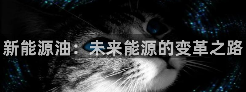 摩根娱乐宝可靠吗