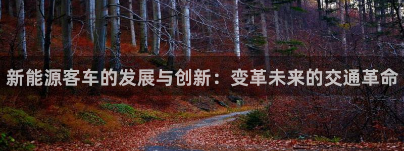 成都摩根娱乐会所:新能源客车的发展与创新:变革未来的交通革命