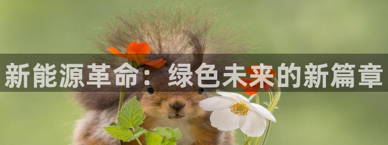 摩根娱乐¤股s东50015：新能源革命：