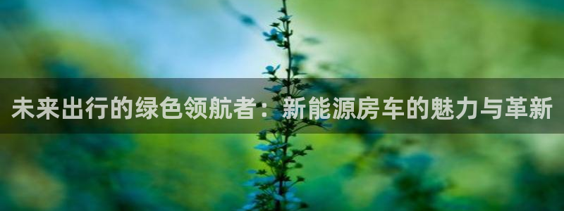 义务摩根娱乐会所电话：未来出行的绿色领航