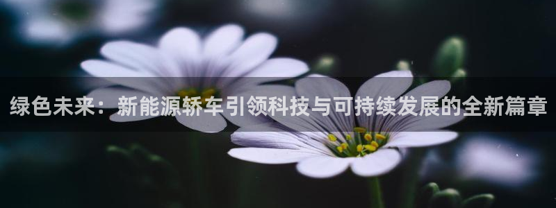 摩根娱乐宝被骗怎么办:绿色未来:新能源轿车引领科技与可持续发