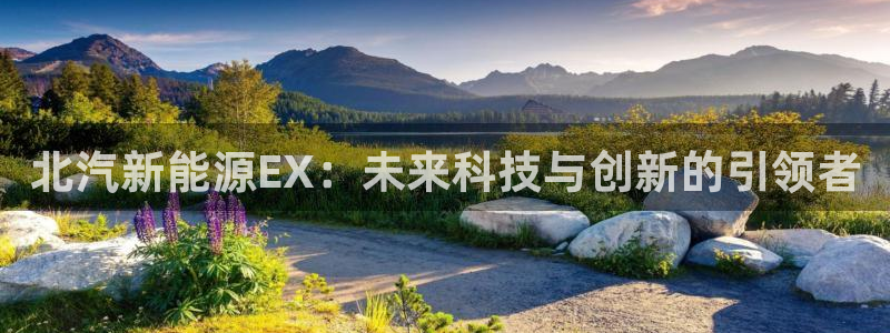 摩根娱乐询问市场总监86738k