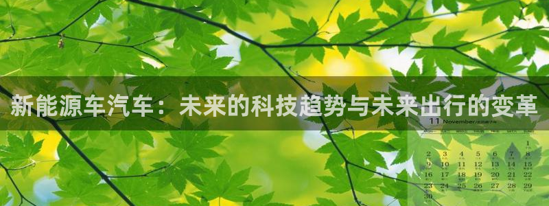 摩根士丹利凯撒娱乐