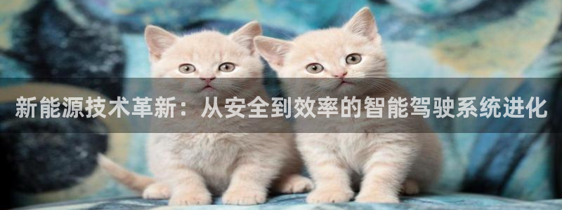 摩根2娱乐