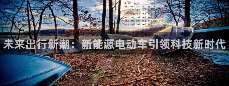 摩根娱乐宝登陆网址：未来出行新潮：新能源