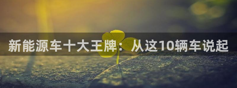 摩根娱乐宝招商：新能源车十大王牌：从这1