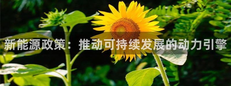 泉州摩根会娱乐会所地址：新能源政策：推动