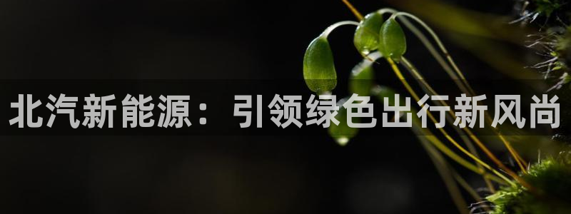 杭州市摩根国际娱乐会所:北汽新能源:引领绿色出行新风尚