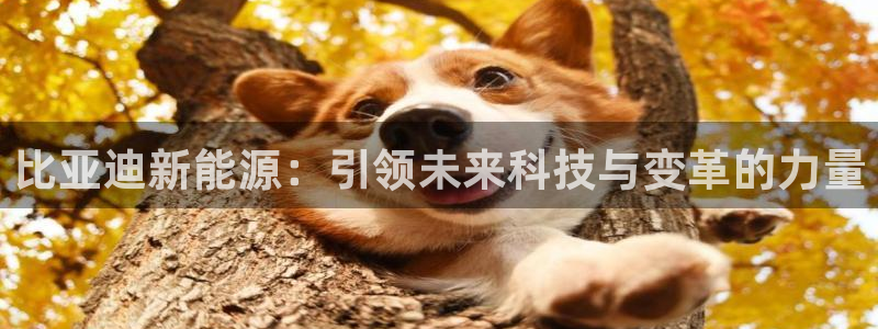 摩根娱乐宝正规吗