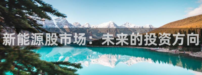 摩根娱乐彩票最忌三种东西:新能源股市场:未来的投资方向