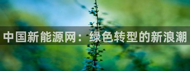 摩根国际娱乐宝进不去