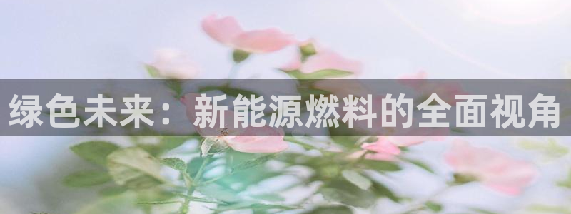 摩根娱乐宝注册:绿色未来:新能源燃料的全面视角