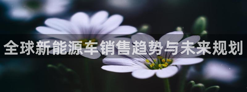 摩根娱乐宝骗了我
