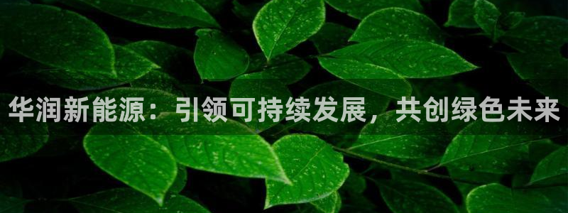 摩根娱乐代理
