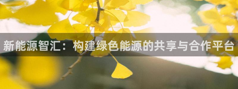 摩根娱乐总部在哪里:新能源智汇:构建绿色能源的共享与合作平台