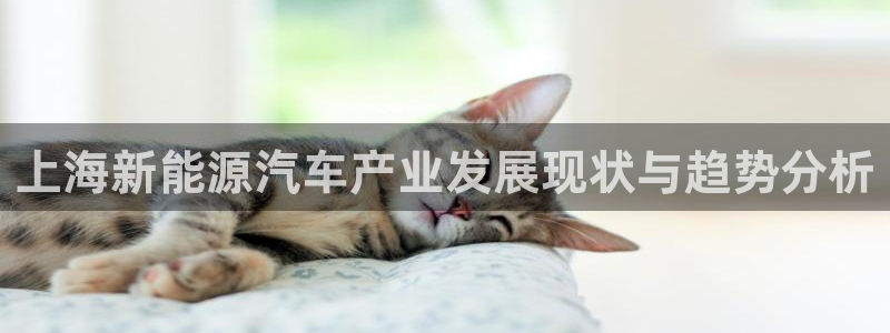 摩根娱乐宝怎么进入：上海新能源汽车产业发