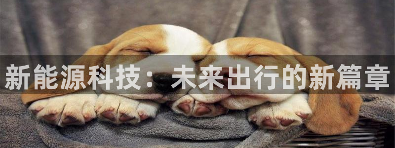 摩根娱乐彩票最忌三种东西：新能源科技：未