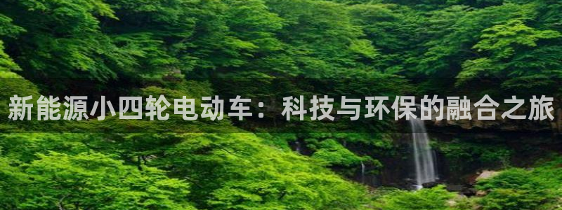 摩根大通旗下娱乐公司：新能源小四轮电动车