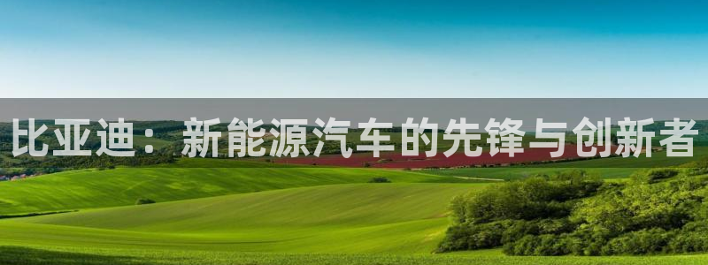 奥飞娱乐摩根调研:比亚迪:新能源汽车的先锋与创新者