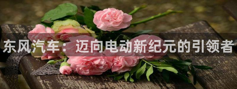 摩根娱乐是什么:东风汽车:迈向电动新纪元的引领者