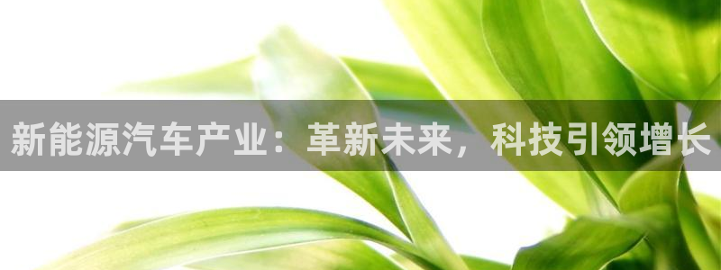 摩根娱乐宝账户:新能源汽车产业:革新未来,科技引领增长