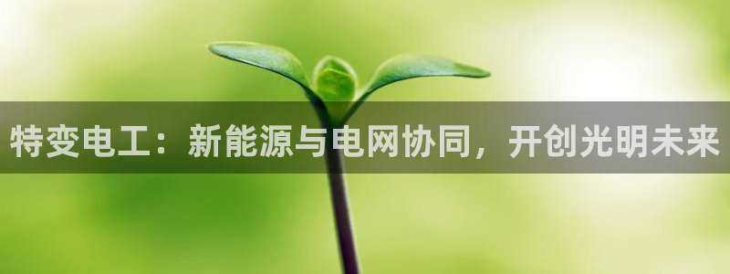 娱乐解说摩根王者荣耀:特变电工:新能源与电网协同,开创光明未