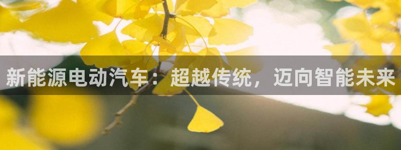 摩根娱乐宝使用操作:新能源电动汽车:超越传统,迈向智能未来