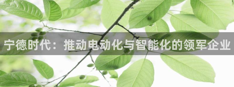摩根娱乐宝在哪里登录:宁德时代:推动电动化与智能化的领军企业