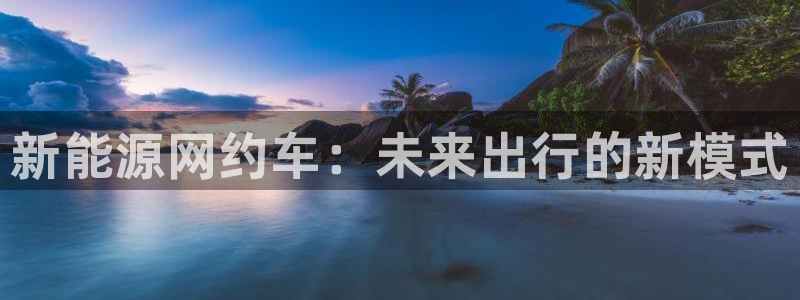 摩根娱乐怎么样:新能源网约车:未来出行的新模式